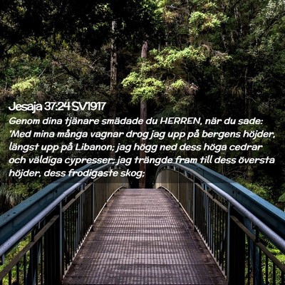 Picture 02 - Jesaja 37:24 SV1917 - Genom dina tjänare smädade du HERREN, när du - Bible Verse Picture