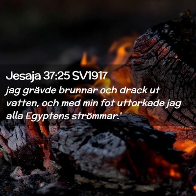 Picture 02 - Jesaja 37:25 SV1917 - jag grävde brunnar och drack ut vatten, och med - Bible Verse Picture