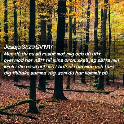Picture 02 - Jesaja 37:29 SV1917 - Men då du nu så rasar mot mig och då ditt - Bible Verse Picture