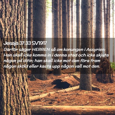 Picture 02 - Jesaja 37:33 SV1917 - Därför säger HERREN så om konungen i - Bible Verse Picture