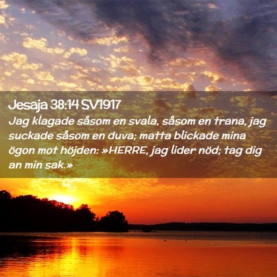 Picture 02 - Jesaja 38:14 SV1917 - Jag klagade såsom en svala, såsom en trana, jag - Bible Verse Picture