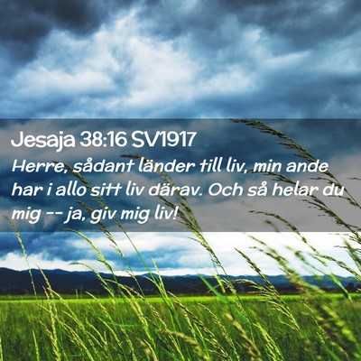 Picture 02 - Jesaja 38:16 SV1917 - Herre, sådant länder till liv, min ande har i - Bible Verse Picture