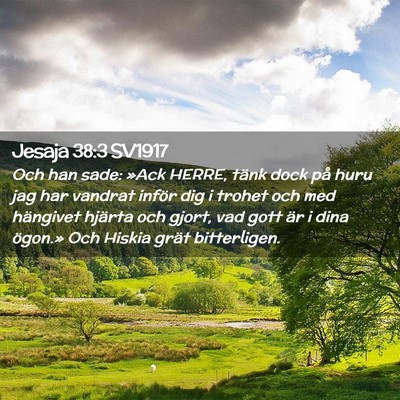 Picture 02 - Jesaja 38:3 SV1917 - Och han sade: »Ack HERRE, tänk dock på huru - Bible Verse Picture