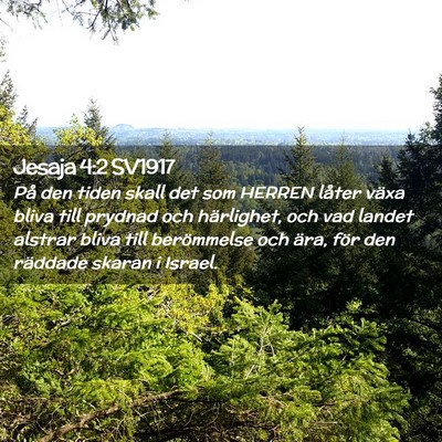 Picture 02 - Jesaja 4:2 SV1917 - På den tiden skall det som HERREN låter växa - Bible Verse Picture