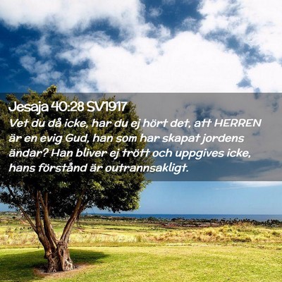 Picture 02 - Jesaja 40:28 SV1917 - Vet du då icke, har du ej hört det, att HERREN - Bible Verse Picture