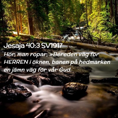 Picture 02 - Jesaja 40:3 SV1917 - Hör, man ropar; »Bereden väg för HERREN i - Bible Verse Picture