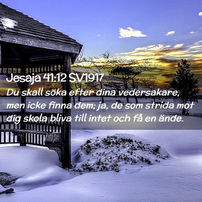 Picture 02 - Jesaja 41:12 SV1917 - Du skall söka efter dina vedersakare, men icke - Bible Verse Picture