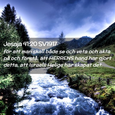 Picture 02 - Jesaja 41:20 SV1917 - för att man skall både se och veta och akta på - Bible Verse Picture