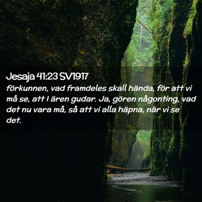 Picture 02 - Jesaja 41:23 SV1917 - förkunnen, vad framdeles skall hända, för att - Bible Verse Picture
