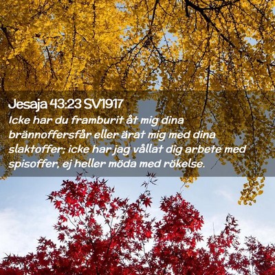Picture 02 - Jesaja 43:23 SV1917 - Icke har du framburit åt mig dina - Bible Verse Picture