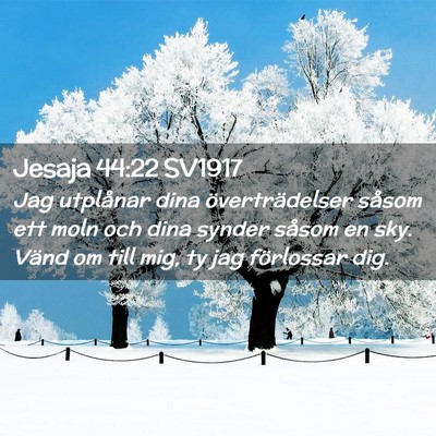 Picture 02 - Jesaja 44:22 SV1917 - Jag utplånar dina överträdelser såsom ett - Bible Verse Picture