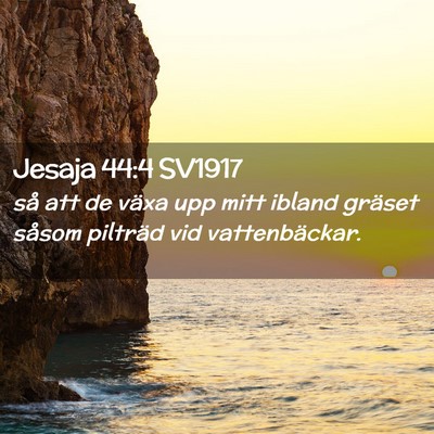 Picture 02 - Jesaja 44:4 SV1917 - så att de växa upp mitt ibland gräset såsom - Bible Verse Picture