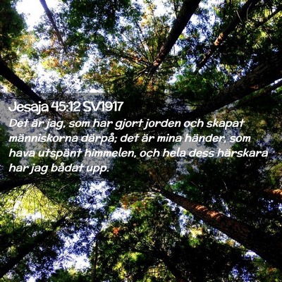 Picture 02 - Jesaja 45:12 SV1917 - Det är jag, som har gjort jorden och skapat - Bible Verse Picture