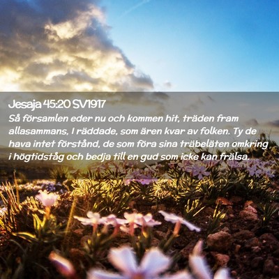 Picture 02 - Jesaja 45:20 SV1917 - Så församlen eder nu och kommen hit, träden - Bible Verse Picture