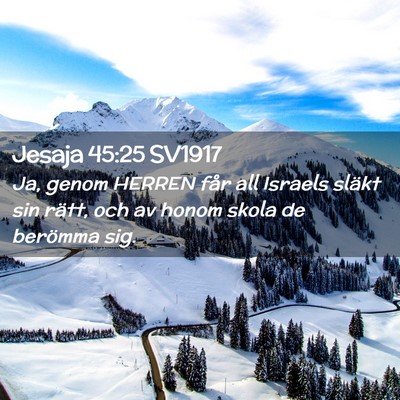 Picture 02 - Jesaja 45:25 SV1917 - Ja, genom HERREN får all Israels släkt sin - Bible Verse Picture