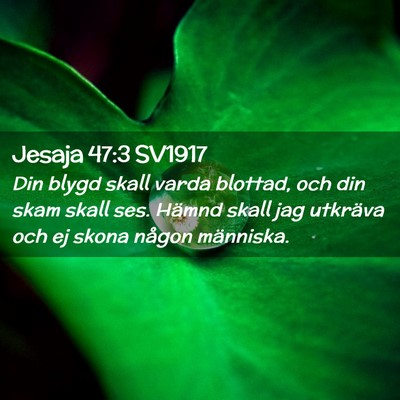 Picture 02 - Jesaja 47:3 SV1917 - Din blygd skall varda blottad, och din skam skall - Bible Verse Picture