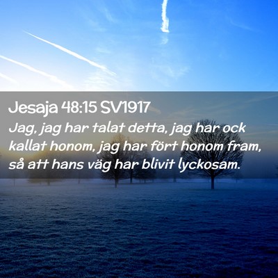 Picture 02 - Jesaja 48:15 SV1917 - Jag, jag har talat detta, jag har ock kallat - Bible Verse Picture