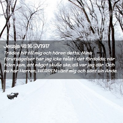 Picture 02 - Jesaja 48:16 SV1917 - Träden hit till mig och hören detta; Mina - Bible Verse Picture