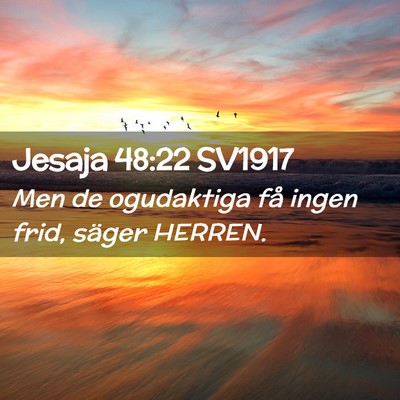 Picture 02 - Jesaja 48:22 SV1917 - Men de ogudaktiga få ingen frid, säger - Bible Verse Picture