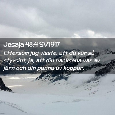 Picture 02 - Jesaja 48:4 SV1917 - Eftersom jag visste, att du var så styvsint, ja, - Bible Verse Picture