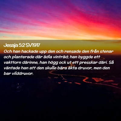 Picture 02 - Jesaja 5:2 SV1917 - Och han hackade upp den och rensade den från - Bible Verse Picture