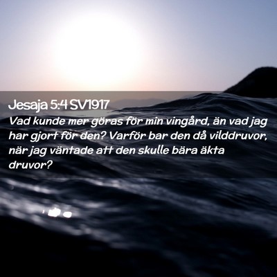 Picture 02 - Jesaja 5:4 SV1917 - Vad kunde mer göras för min vingård, än vad - Bible Verse Picture