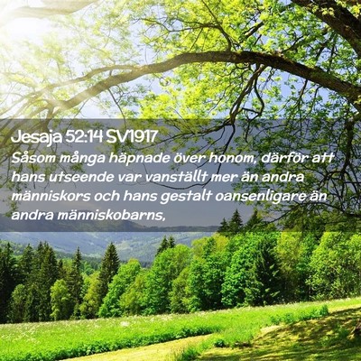 Picture 02 - Jesaja 52:14 SV1917 - Såsom många häpnade över honom, därför att - Bible Verse Picture