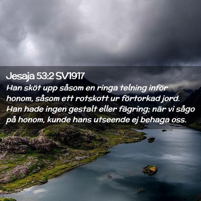 Picture 02 - Jesaja 53:2 SV1917 - Han sköt upp såsom en ringa telning inför - Bible Verse Picture