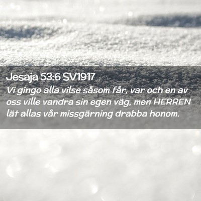 Picture 02 - Jesaja 53:6 SV1917 - Vi gingo alla vilse såsom får, var och en av - Bible Verse Picture
