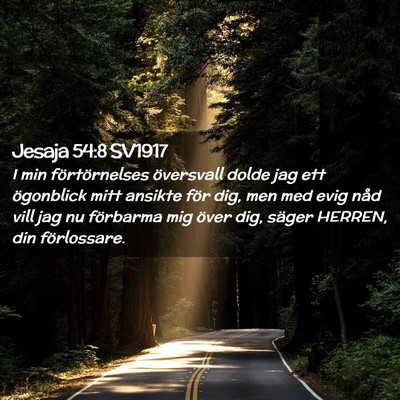 Picture 02 - Jesaja 54:8 SV1917 - I min förtörnelses översvall dolde jag ett - Bible Verse Picture