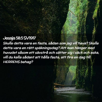 Picture 02 - Jesaja 58:5 SV1917 - Skulle detta vara en fasta, sådan som jag vill - Bible Verse Picture