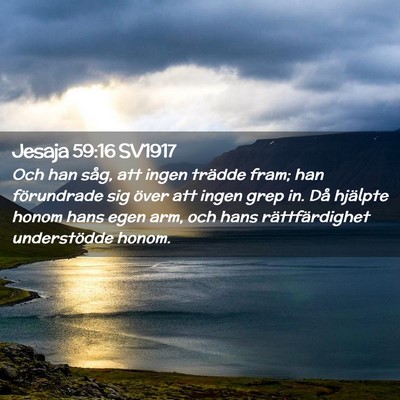 Picture 02 - Jesaja 59:16 SV1917 - Och han såg, att ingen trädde fram; han - Bible Verse Picture