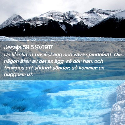 Picture 02 - Jesaja 59:5 SV1917 - De kläcka ut basiliskägg och väva spindelnät. - Bible Verse Picture