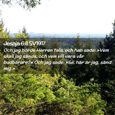 Picture 02 - Jesaja 6:8 SV1917 - Och jag hörde Herren tala, och han sade: »Vem - Bible Verse Picture
