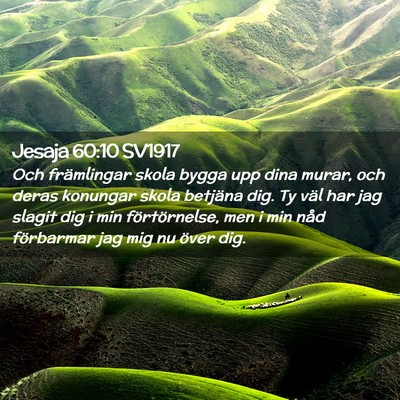 Picture 02 - Jesaja 60:10 SV1917 - Och främlingar skola bygga upp dina murar, och - Bible Verse Picture