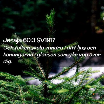Picture 02 - Jesaja 60:3 SV1917 - Och folken skola vandra i ditt ljus och - Bible Verse Picture