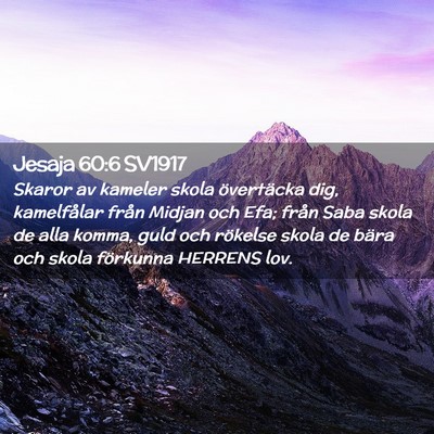 Picture 02 - Jesaja 60:6 SV1917 - Skaror av kameler skola övertäcka dig, - Bible Verse Picture