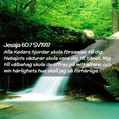 Picture 02 - Jesaja 60:7 SV1917 - Alla Kedars hjordar skola församlas till dig, - Bible Verse Picture