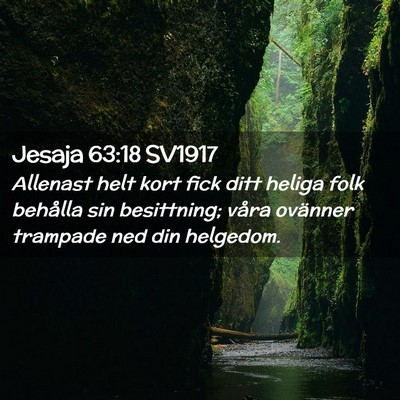 Picture 02 - Jesaja 63:18 SV1917 - Allenast helt kort fick ditt heliga folk behålla - Bible Verse Picture
