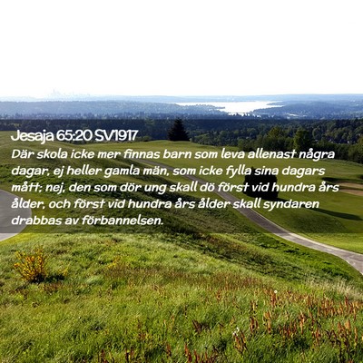 Picture 02 - Jesaja 65:20 SV1917 - Där skola icke mer finnas barn som leva allenast - Bible Verse Picture