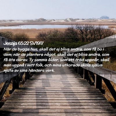 Picture 02 - Jesaja 65:22 SV1917 - När de bygga hus, skall det ej bliva andra, som - Bible Verse Picture