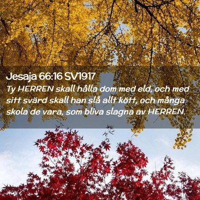 Picture 02 - Jesaja 66:16 SV1917 - Ty HERREN skall hålla dom med eld, och med sitt - Bible Verse Picture