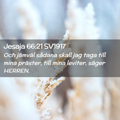 Picture 02 - Jesaja 66:21 SV1917 - Och jämväl sådana skall jag taga till mina - Bible Verse Picture