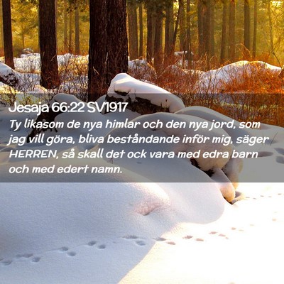 Picture 02 - Jesaja 66:22 SV1917 - Ty likasom de nya himlar och den nya jord, som - Bible Verse Picture