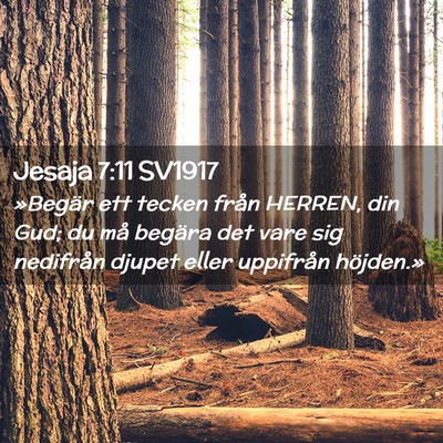 Picture 02 - Jesaja 7:11 SV1917 - »Begär ett tecken från HERREN, din Gud; du må - Bible Verse Picture