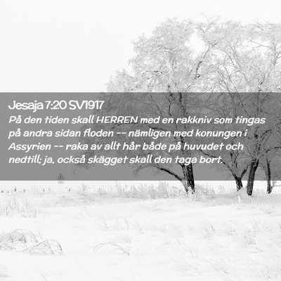 Picture 02 - Jesaja 7:20 SV1917 - På den tiden skall HERREN med en rakkniv som - Bible Verse Picture