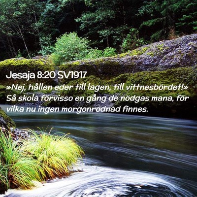Picture 02 - Jesaja 8:20 SV1917 - »Nej, hållen eder till lagen, till - Bible Verse Picture