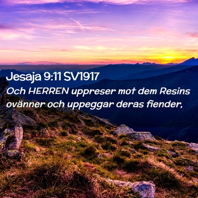 Picture 02 - Jesaja 9:11 SV1917 - Och HERREN uppreser mot dem Resins ovänner och - Bible Verse Picture