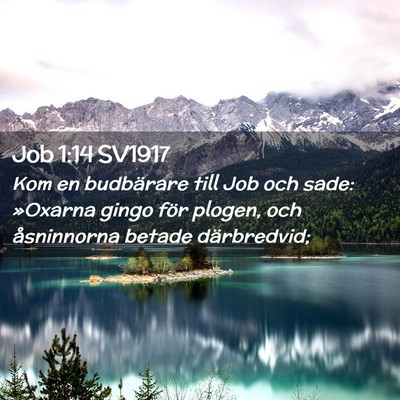 Picture 02 - Job 1:14 SV1917 - Kom en budbärare till Job och sade: »Oxarna - Bible Verse Picture