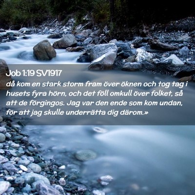 Picture 02 - Job 1:19 SV1917 - då kom en stark storm fram över öknen och tog - Bible Verse Picture